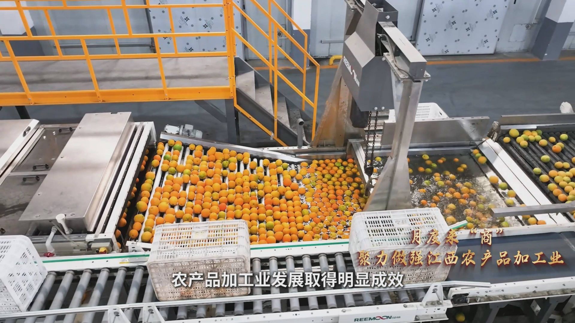 聚力做強(qiáng)江西農(nóng)產(chǎn)品加工業(yè)