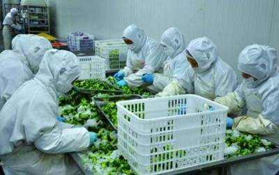 明確目標(biāo)，把握機遇 國家500萬補貼助力農(nóng)產(chǎn)品加工發(fā)展