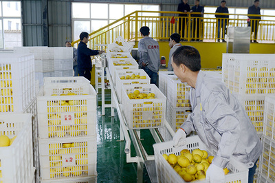 重慶農(nóng)商行 引金融活水“貸”動鄉(xiāng)村產(chǎn)業(yè)發(fā)展，助力農(nóng)產(chǎn)品加工升級