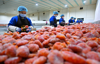 眉山仁壽 發(fā)展農(nóng)產(chǎn)品加工 助力農(nóng)民增收致富