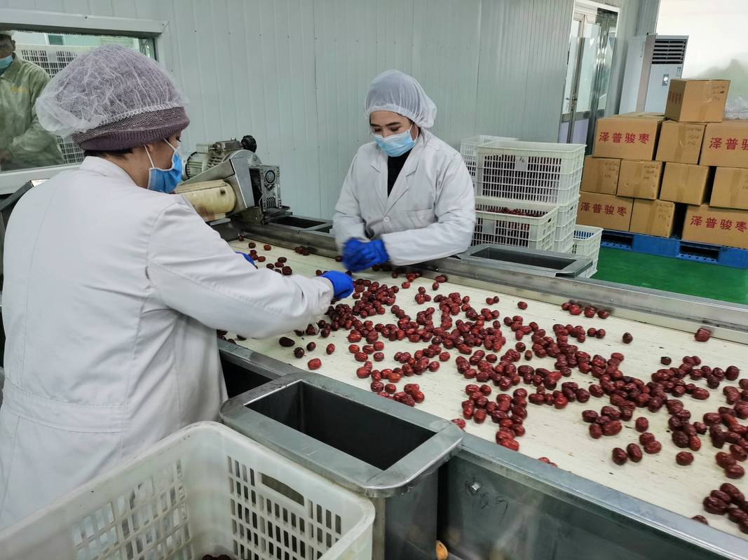 上海援疆 農(nóng)產(chǎn)品深加工助推鄉(xiāng)村振興開新局