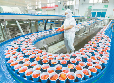 有力有效推進鄉(xiāng)村全面振興 農(nóng)產(chǎn)品加工的路徑與實踐