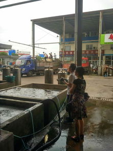 加工所質(zhì)檢中心部級(jí)農(nóng)產(chǎn)品質(zhì)量安全監(jiān)測(cè)專項(xiàng)工作有序開展