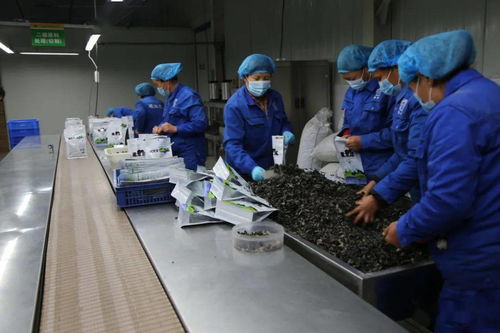 充滿希望的土地——全州農(nóng)牧業(yè)產(chǎn)業(yè)現(xiàn)場(chǎng)觀摩見聞