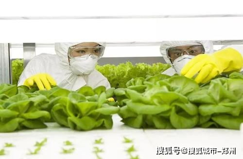 全力推進(jìn)國際農(nóng)產(chǎn)品加工產(chǎn)業(yè)園與重點(diǎn)水利工程建設(shè) 助推農(nóng)業(yè)現(xiàn)代化發(fā)展