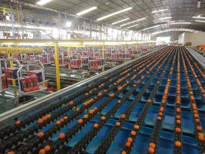 西鄉塘 支部聯建共謀產業發展 科技引領助推鄉村振興