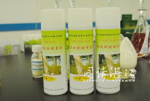 湛江科技人 你可能不知道的橡膠樹“防寒衣”——農產品加工研究所的精彩故事