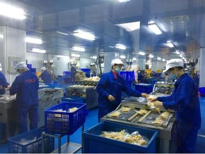 柳州鄉(xiāng)村振興新引擎 聚焦產(chǎn)業(yè)融合，擘畫農(nóng)產(chǎn)品加工新圖景