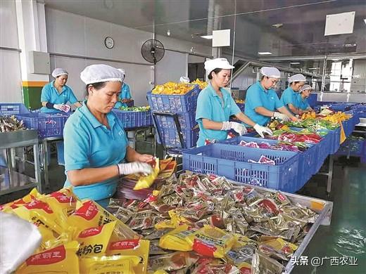加工帶動產(chǎn)業(yè)升級，廣西“好嘢”農(nóng)產(chǎn)品香飄萬里