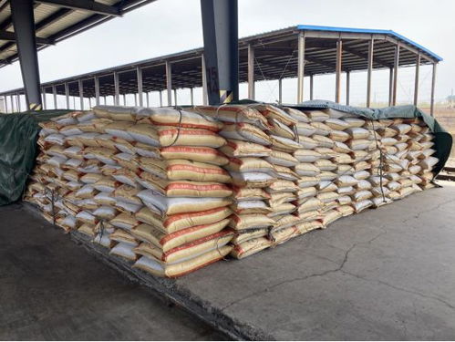 以特色農產品加工為抓手，激活鄉村產業振興新引擎