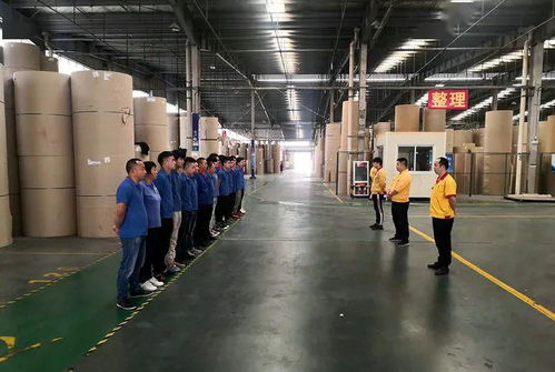花園建材榮膺東陽市中小企業市長科技創新獎，引領行業綠色轉型新篇章
